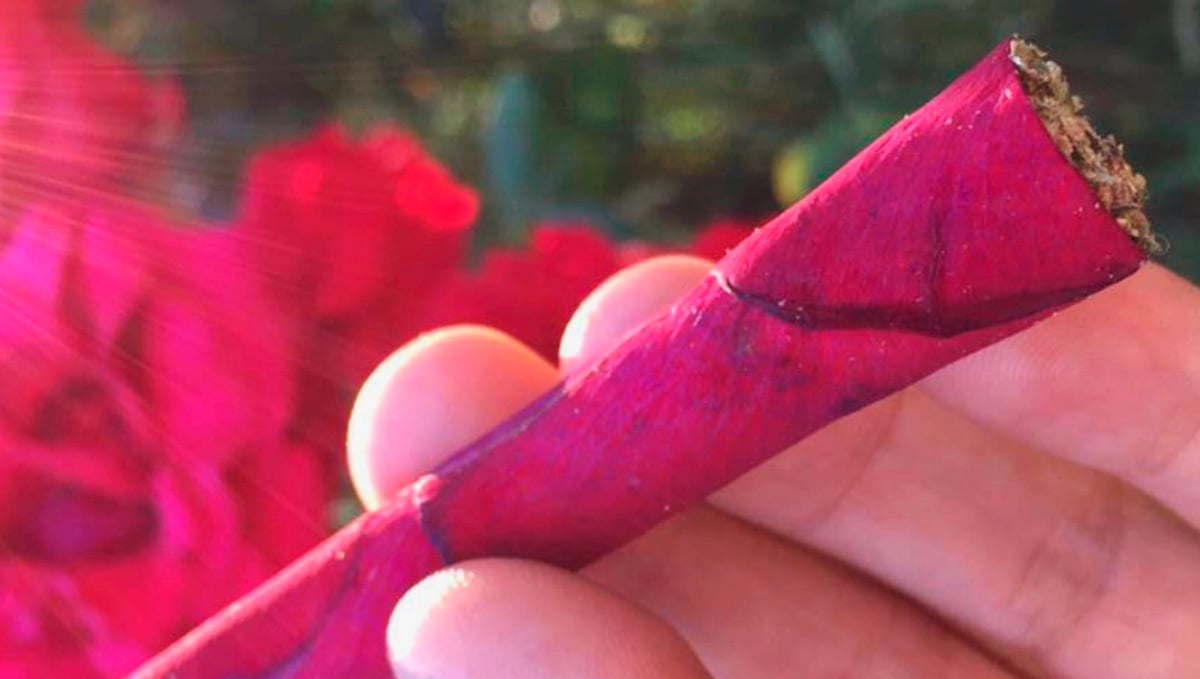 Up your blend joint game by rolling it with rose petals!