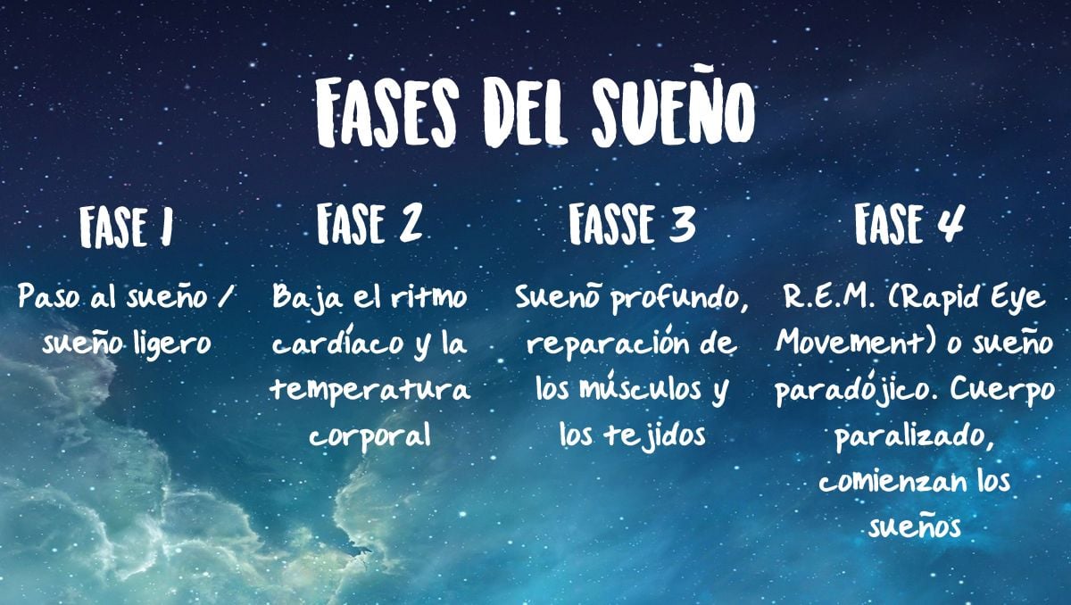 Explicación de las diferentes etapas del sueño.