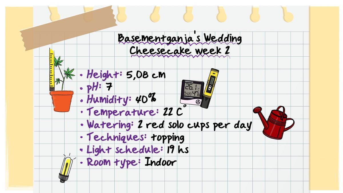 Week 2 - BasementGanja's specifications Week 2 - BasementGanja's specifications