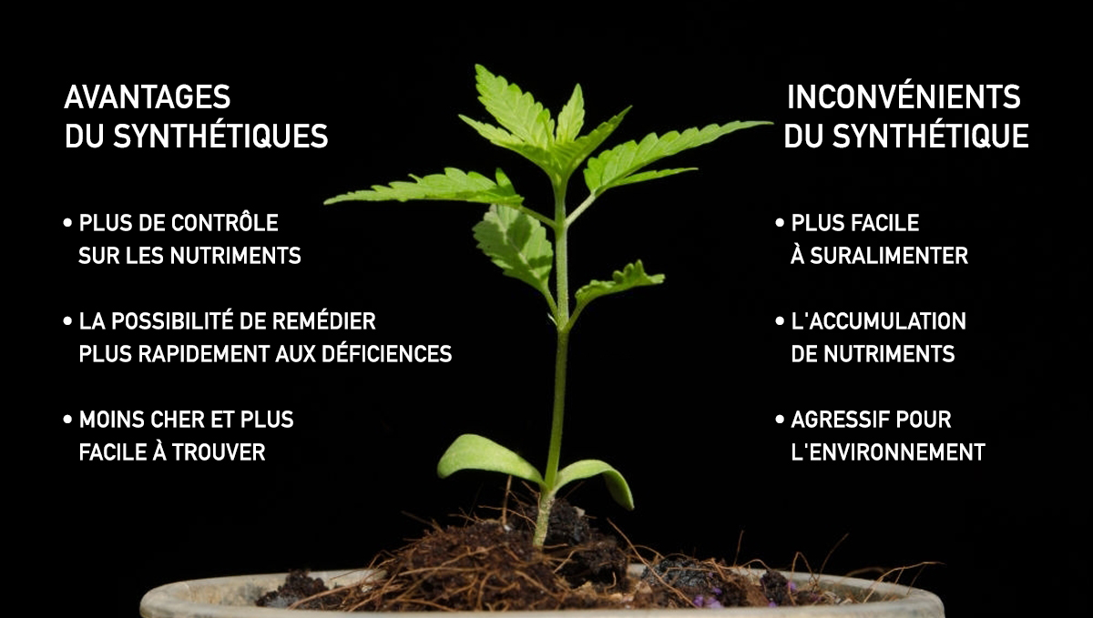 Inconvenients culture synthetique