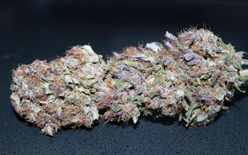 Top 5 New Automatic Weed Strains: Crystal Meth Auto by Fast Buds