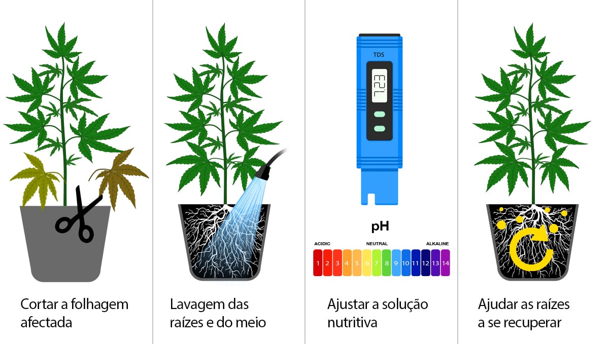 O que é a sobrealimentação: consertar a queimadura por nutrientes em 4 passos O que é a sobrealimentação: consertar a queimadura por nutrientes em 4 passos