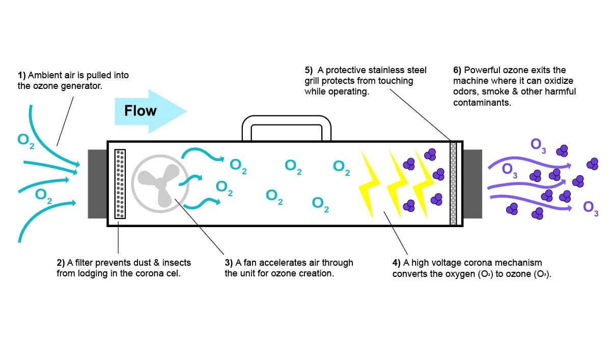 When do Autoflowers Start to Smell?: How an air ozone generator works
