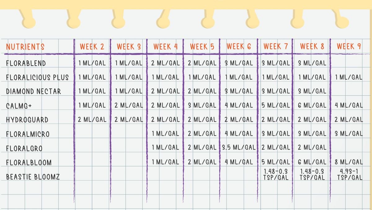 Gorilla Cookies Auto Cannabis Strain Week-by-Week Guide: Feeding schedule