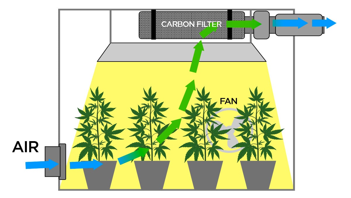 Your Guide To Cannabis Flowering: Carbon filter 