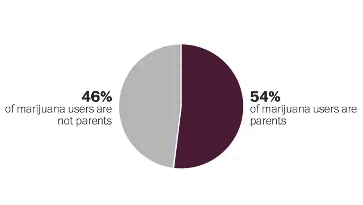 Most cannabis users are parents
