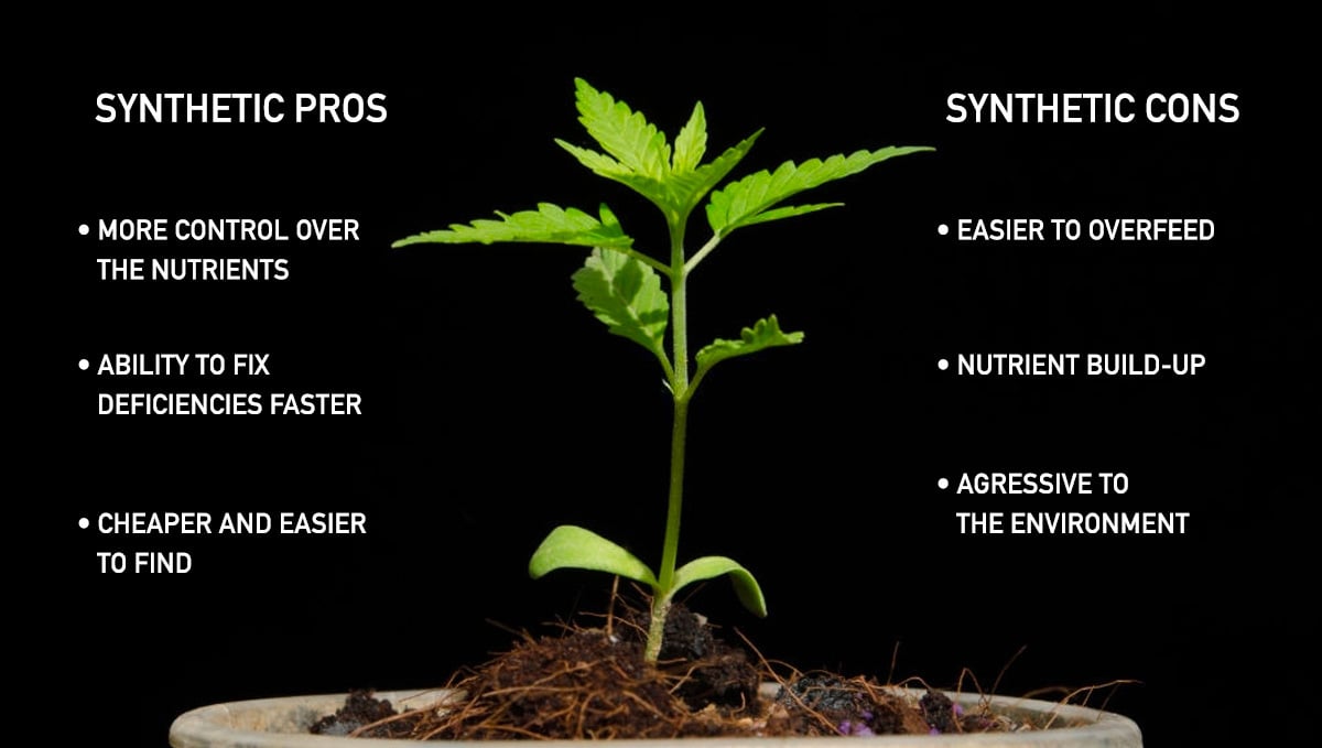 Growing Cannabis: Synthetic pros and cons