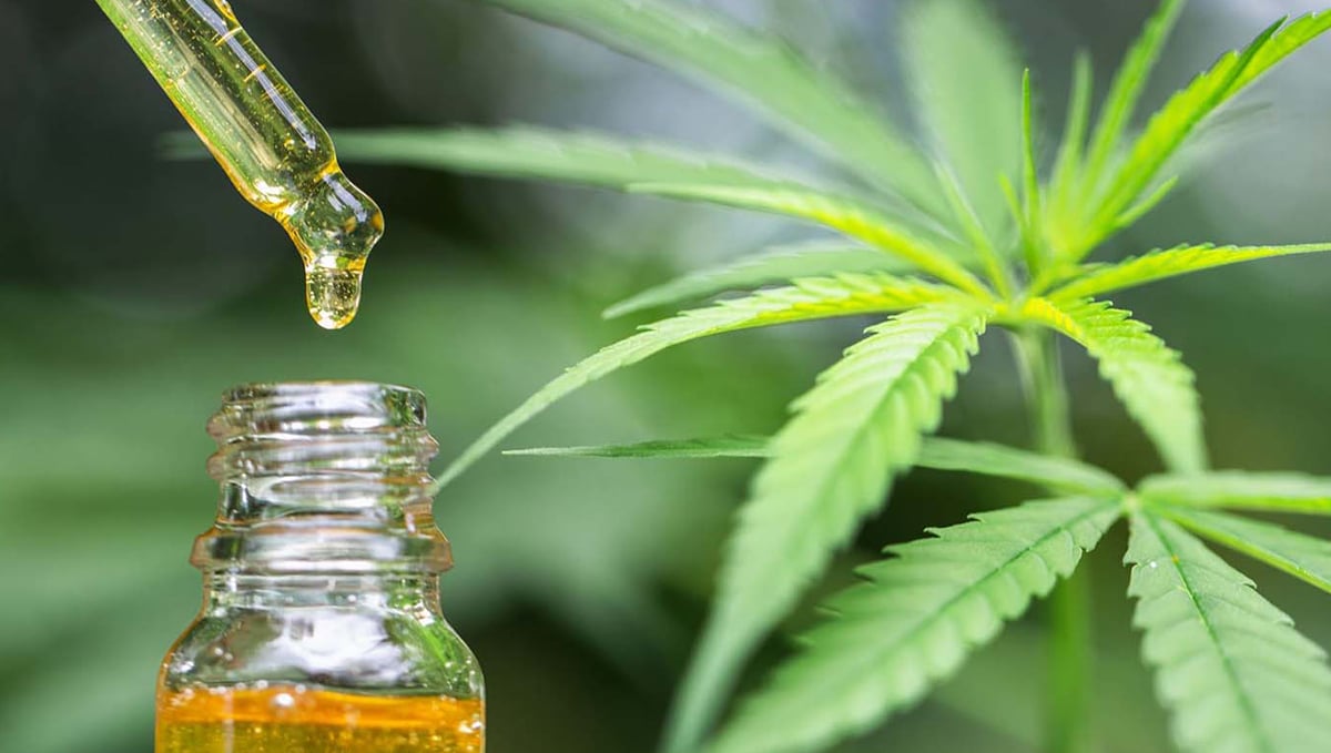 How to Make Cannabis Edibles: Canna Oil