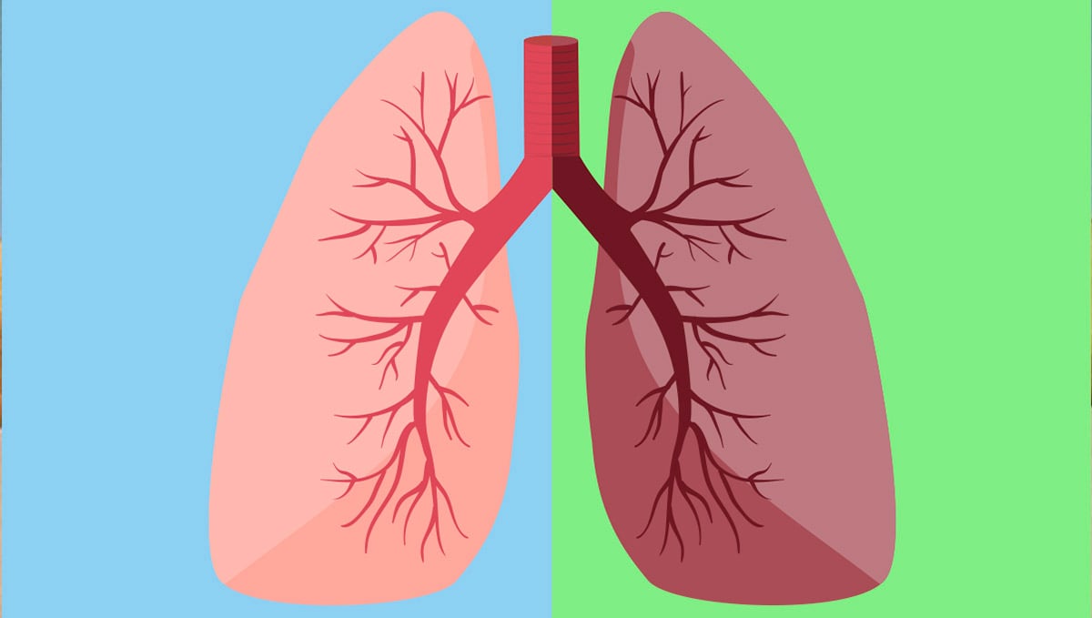 Lungs' health differences between smoking and vaping