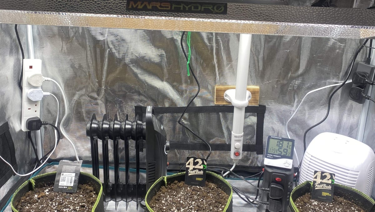 Gorilla Cookies Auto Cannabis Strain Week-by-Week Guide: A grow tent with a Mars Hydro LED and three grow bags