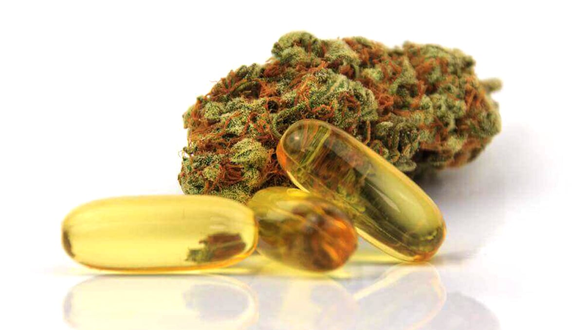 Cannabis capsules: pros and cons