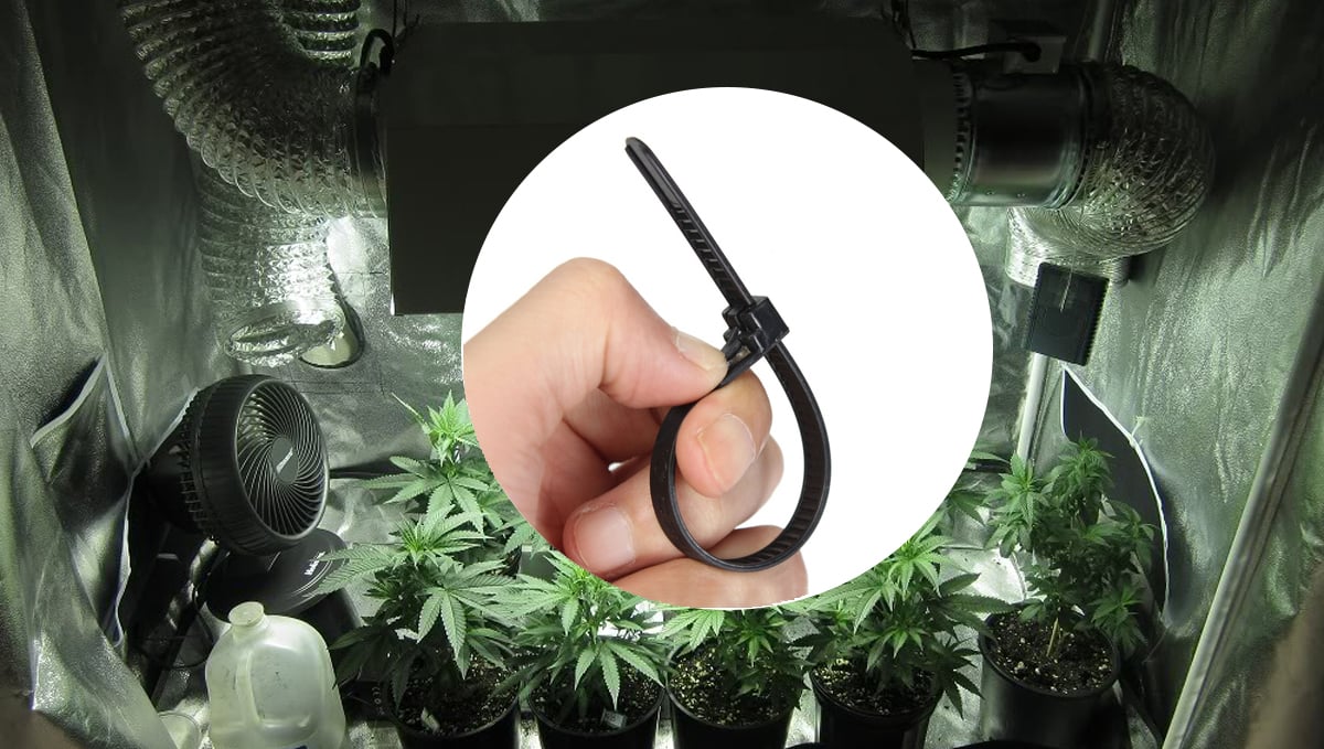 Helpful Gadgets To Grow Cannabis - RQS Blog