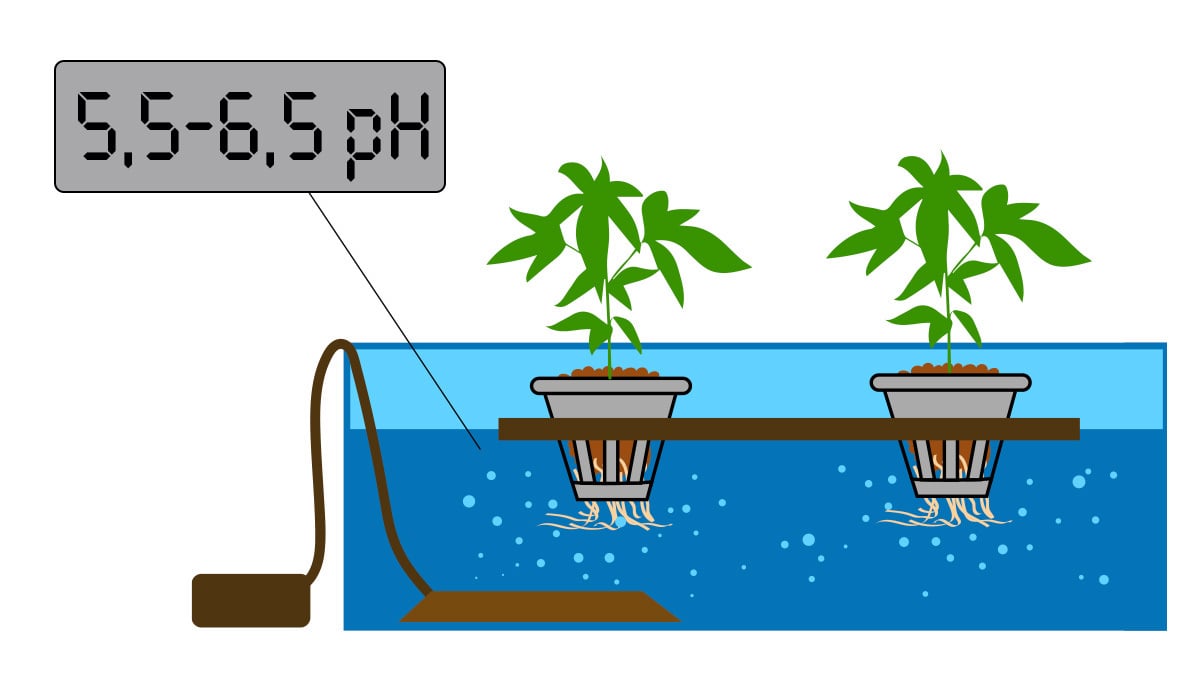 Best pH Levels For Growing Autoflowering Cannabis: PH Should Be 5.5-6.5 When Growing Hydroponically