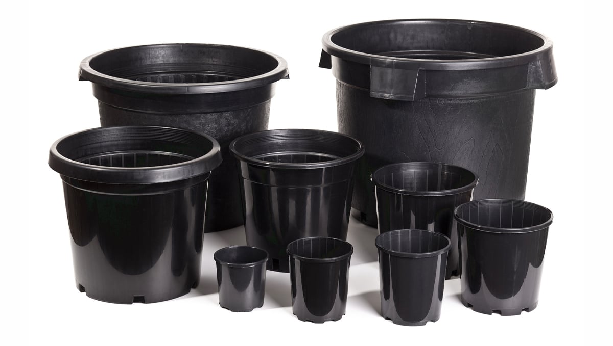 Tipos de vasos para o cultivo de autoflorescentes: vasos de plástico