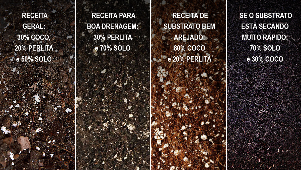 9 erros a evitar: melhor substrato