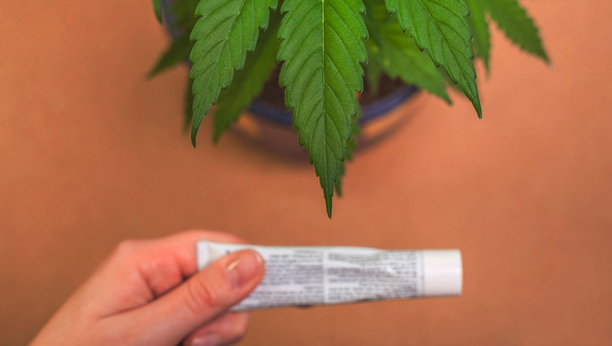 DIY Cannabis Topicals A StepbyStep Guide Fast Buds