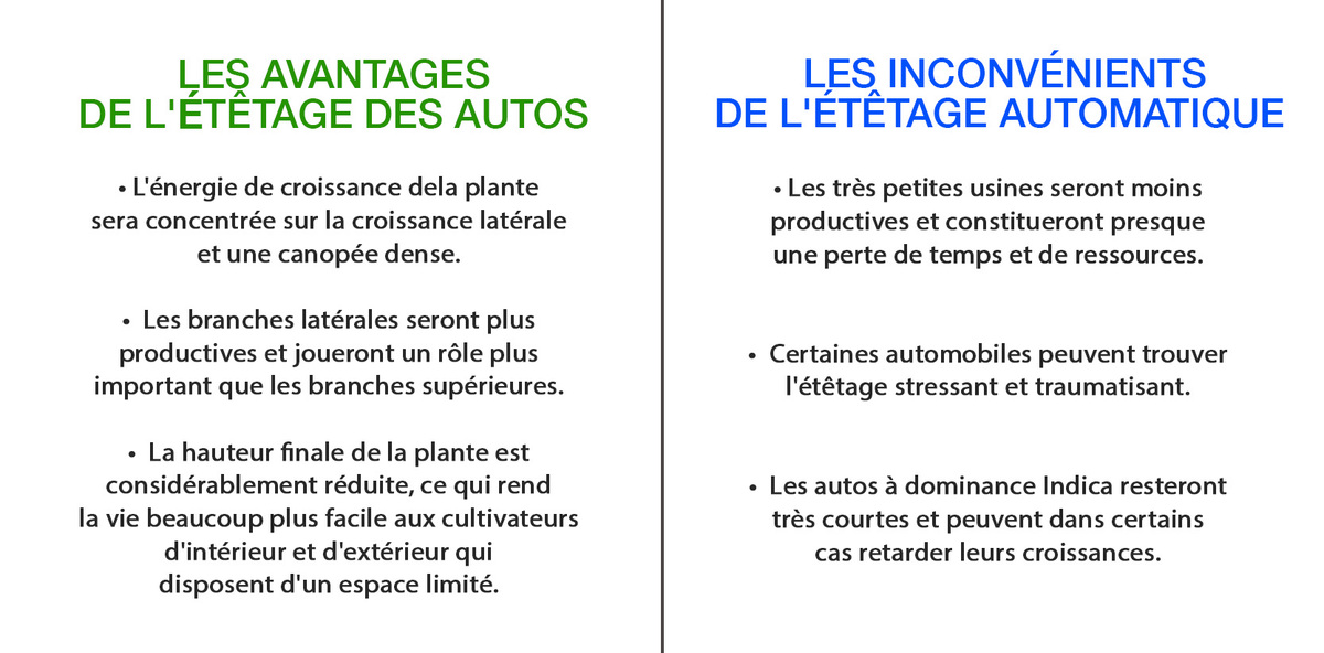 Avantages et inconvénients du topping