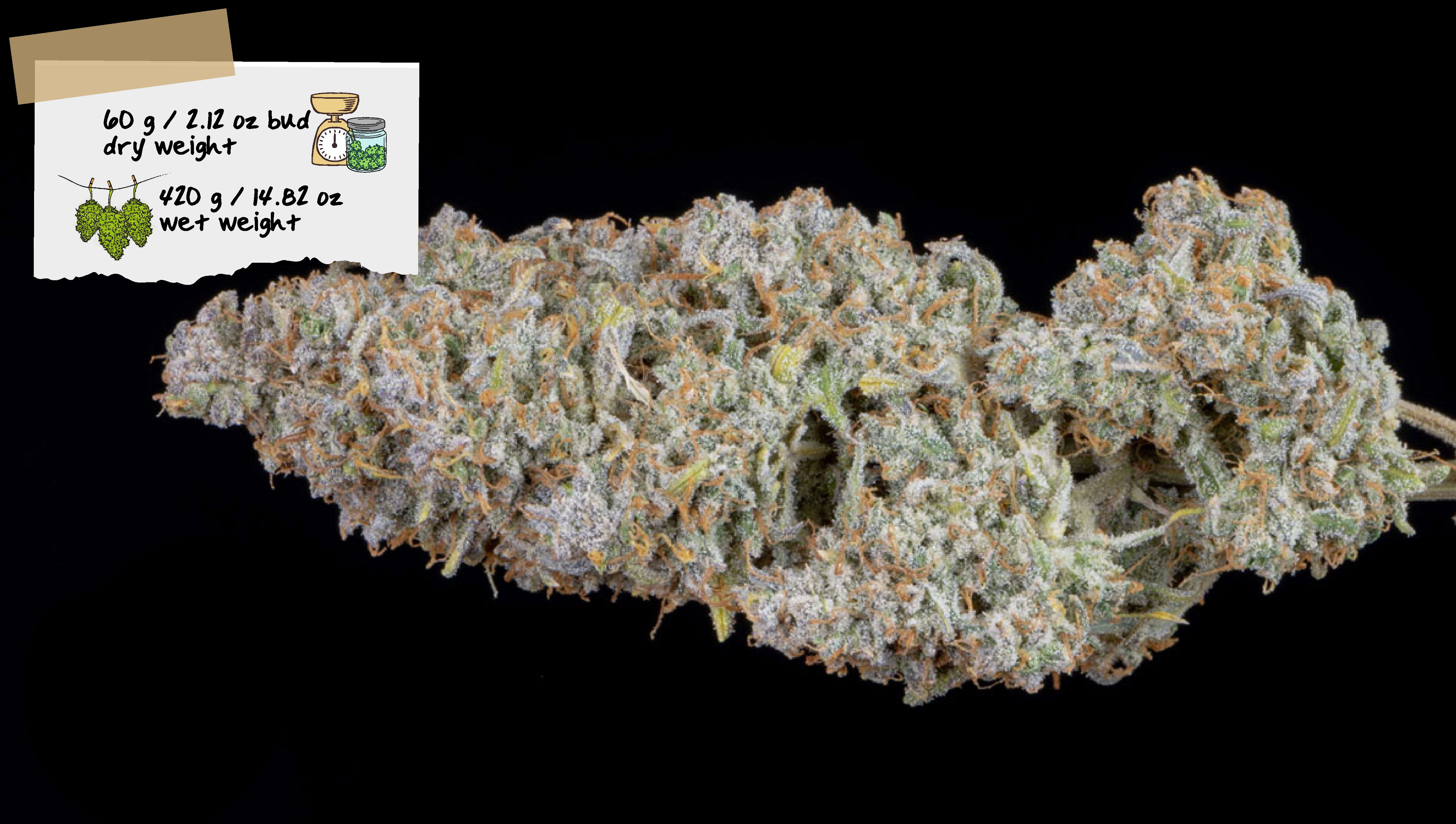 Hawkbo Harvest Hawkbo Harvest