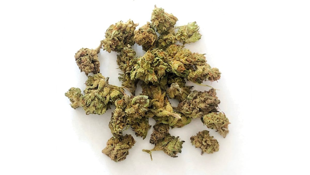 What are Popcorn Buds and How to Avoid Them: Cannabis popcorn buds