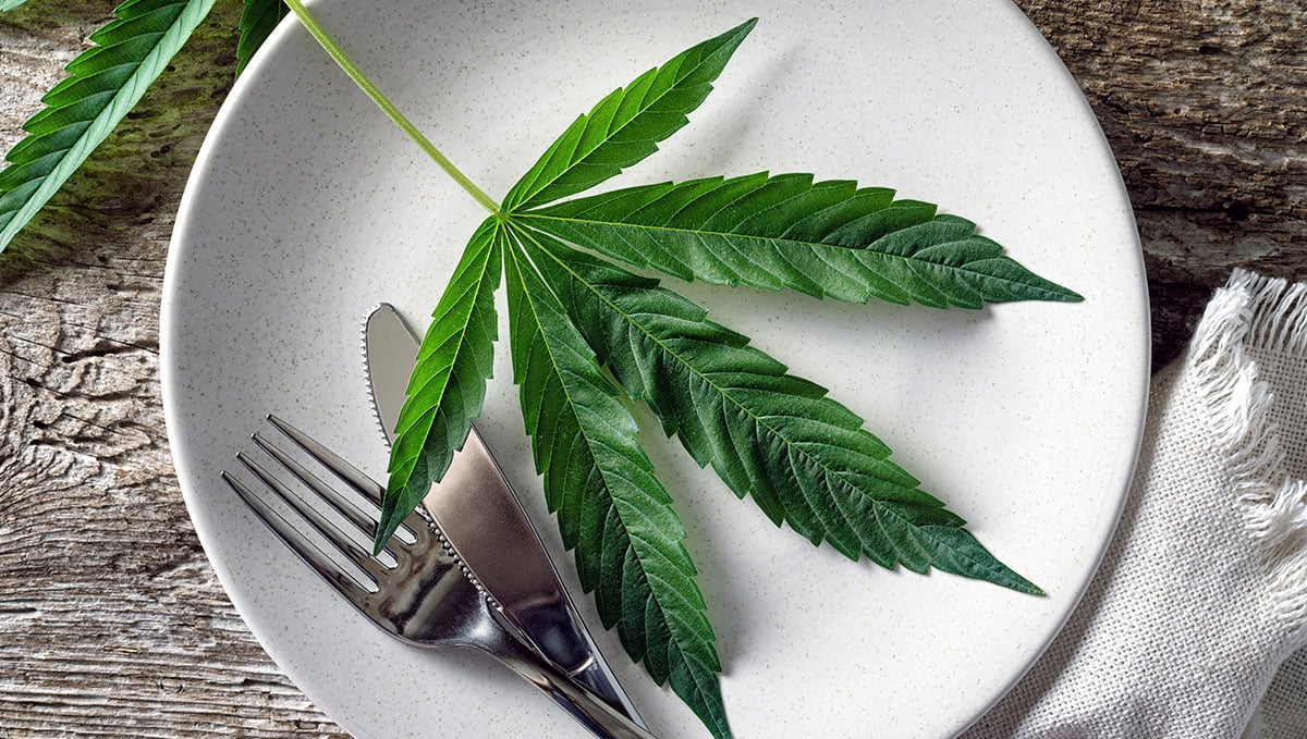 Cannabis could aid in the treatment of eating disorders.