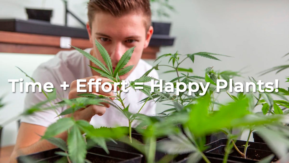 Time + Effort = Happy Plants!