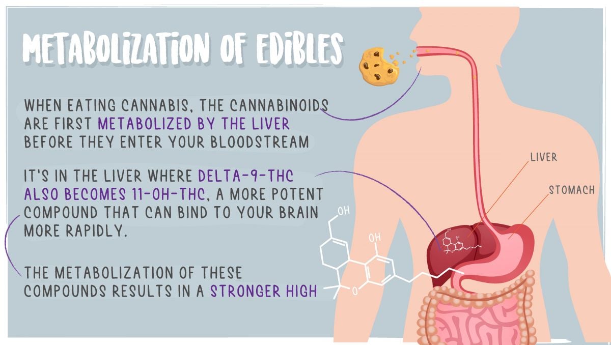 Edibles impact on your brain: metbolization of edibles