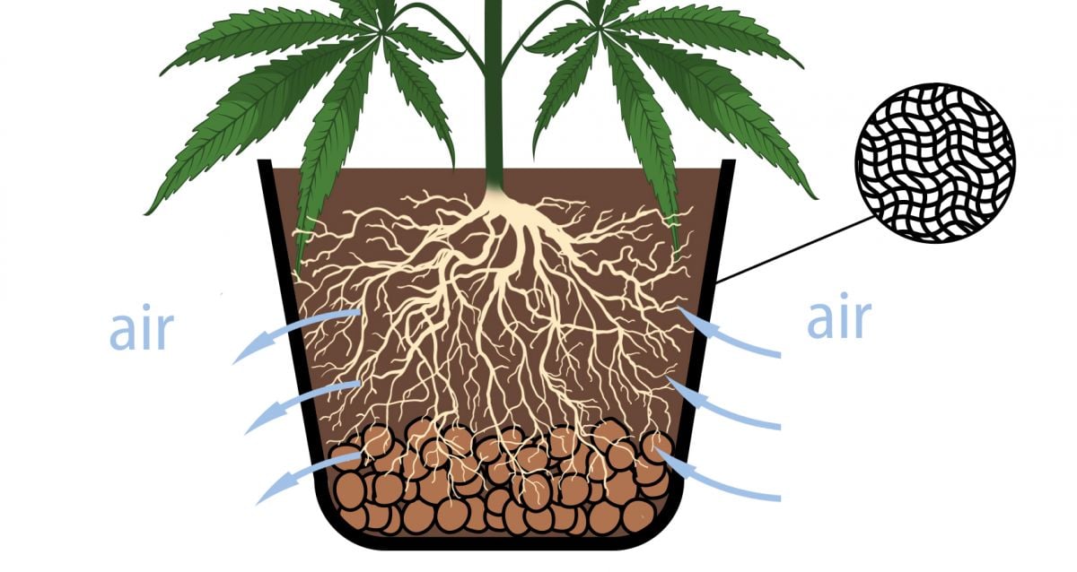 Types of containers for growing autoflowers: what to have in mind