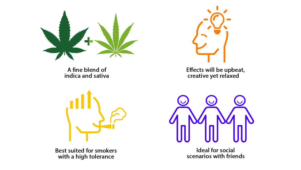 Gorilla Glue Auto Strain History