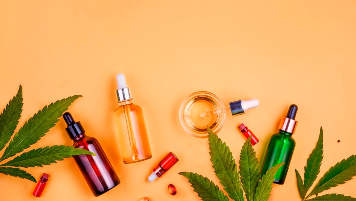 Both hemp and cannabis CBD products are used for many different medical purposes. Both hemp and cannabis CBD products are used for many different medical purposes.