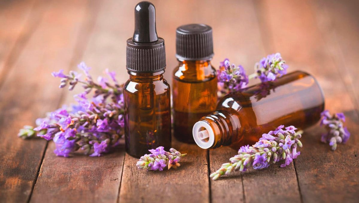 Linalool emerged as a defense from insects and now acts as an antibacterial.