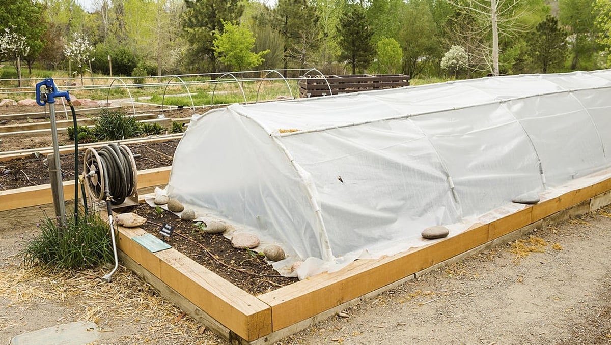 How To Build A Greenhouse: simple and easy greenhouse