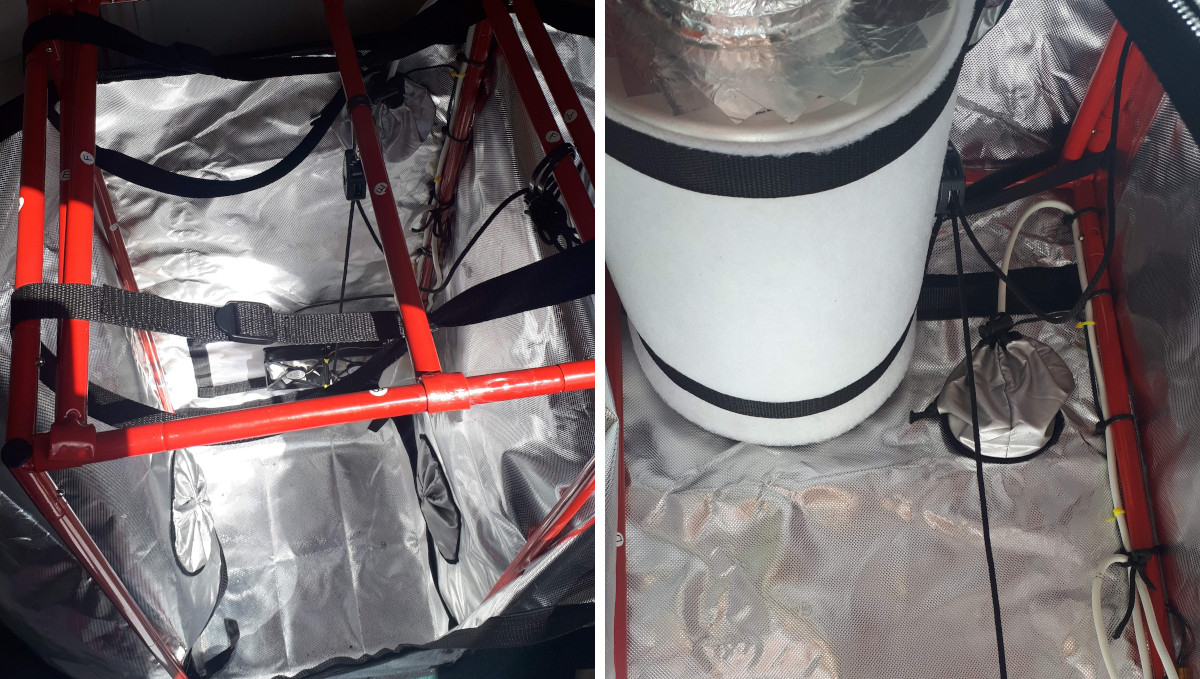 Strawberry Pie Auto Cannabis Strain Week-by-Week Guide: A 40x40x100cm Black Orchid grow tent and a carbon filter