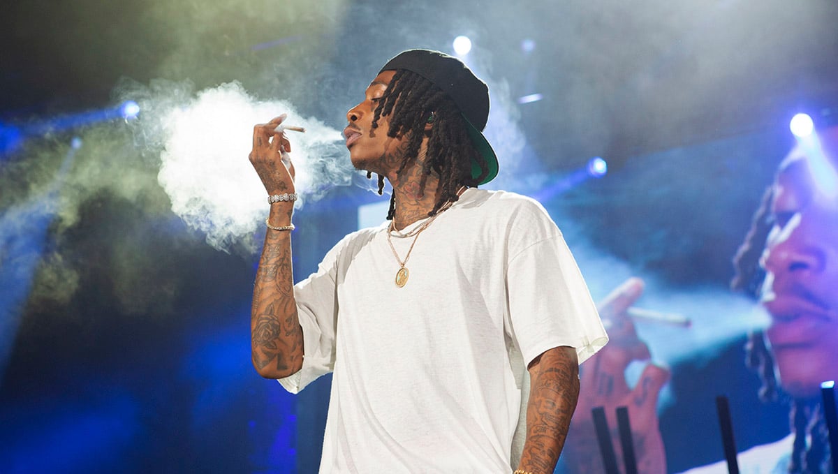 Wiz Khalifa not only raps about weed but he got into the industry as well.