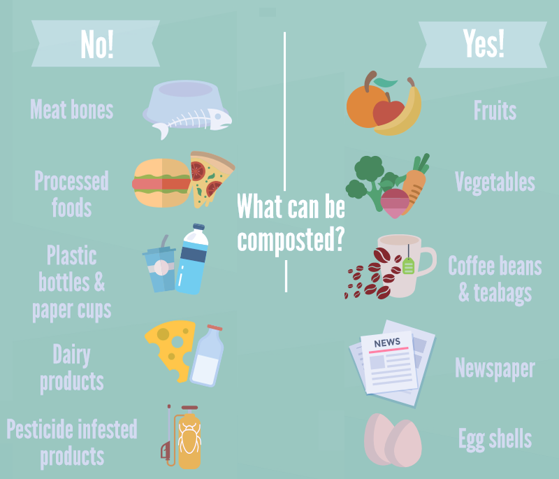 Compost infographic