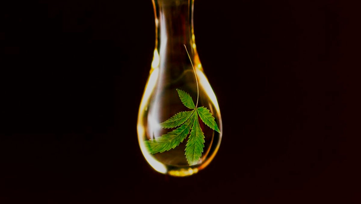 Cannabis tinctures are alcohol-based concentrates.