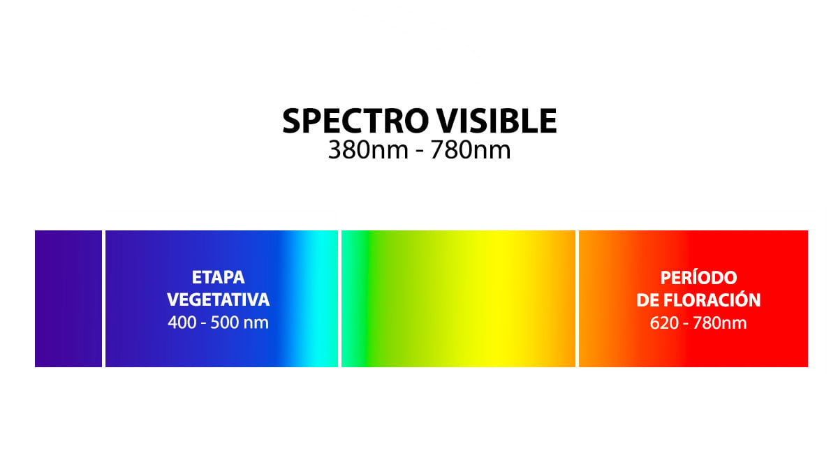 Visible para longitudes de onda espectrales humanas