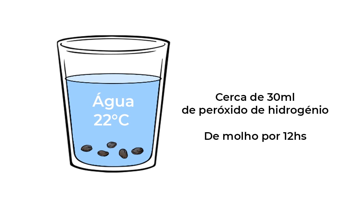 Guia de germinação: água suplementada Guia de germinação: água suplementada