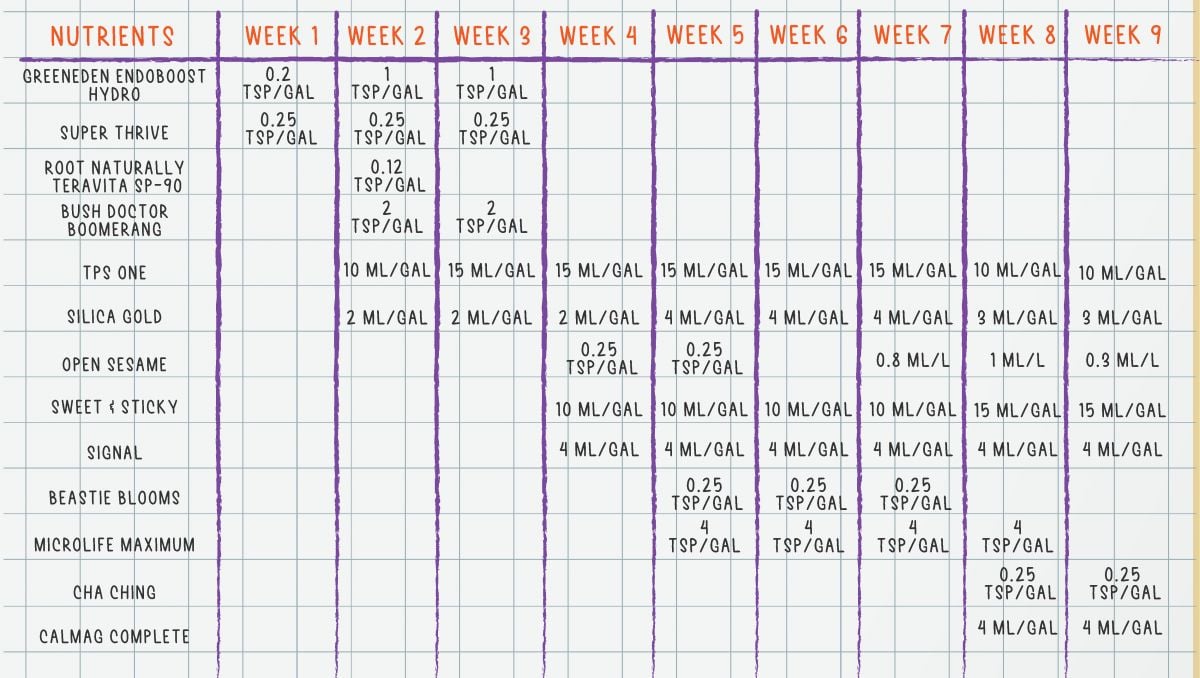 Orange Sherbet Auto Cannabis Strain Week-by-Week Guide: Organic feeding schedule