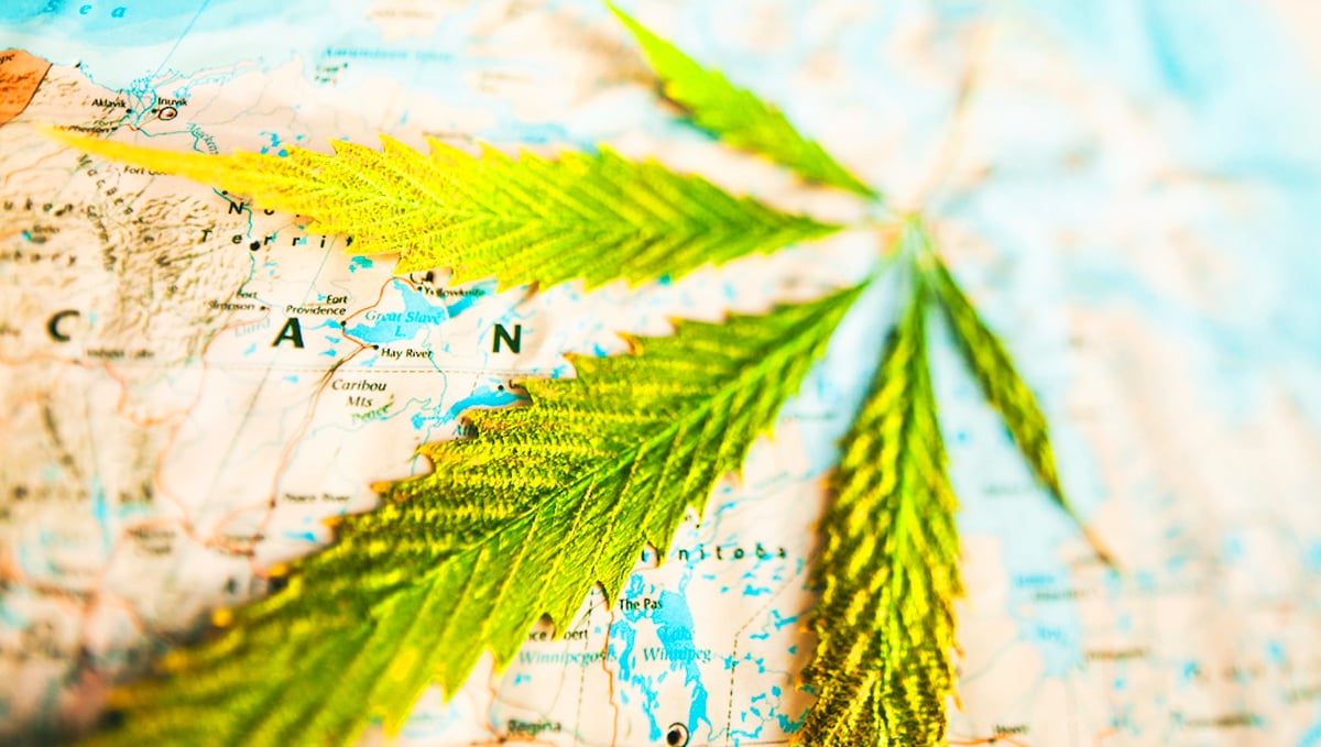 Avoid these not so friendly cannabis destinations.