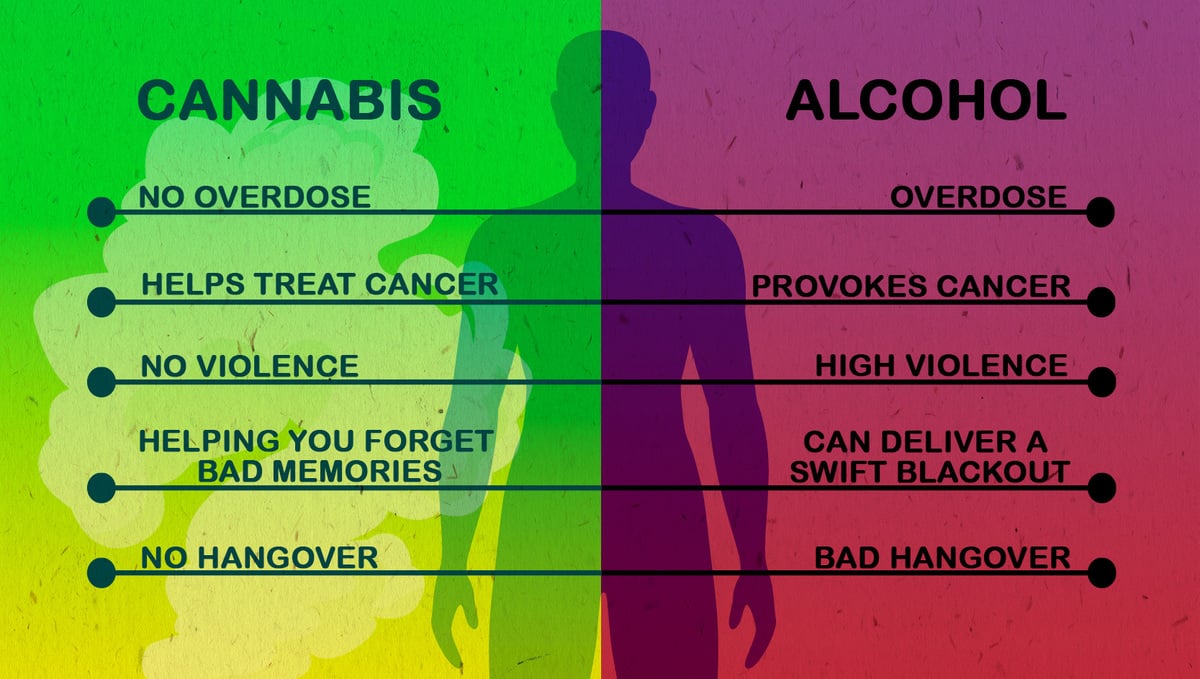 Cannabis Vs Alcohol – What's Safer for You: Effects