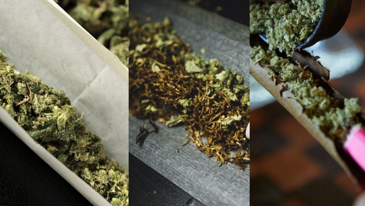 Understanding the differences, the pros, and cons of joints, spliffs and blunts.