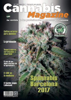 Promo Cannabis Magazine: Cannabis Magazine Cover