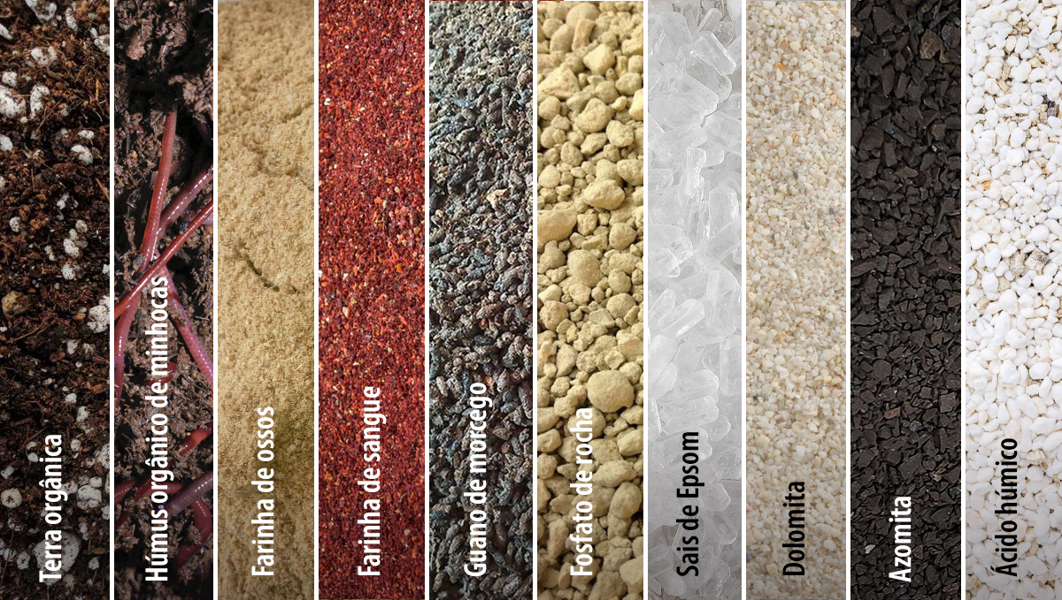 Super soil para cannabis: suprimentos