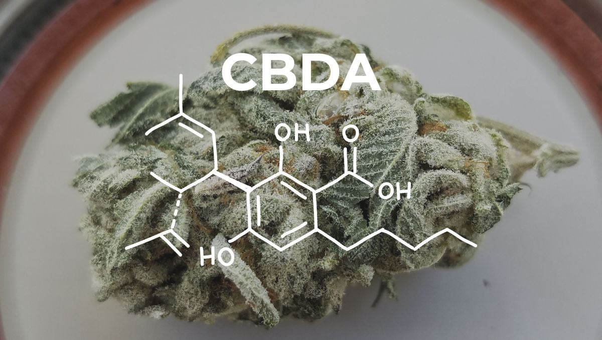 The cannabinoid CBDA is the precursor CBD.