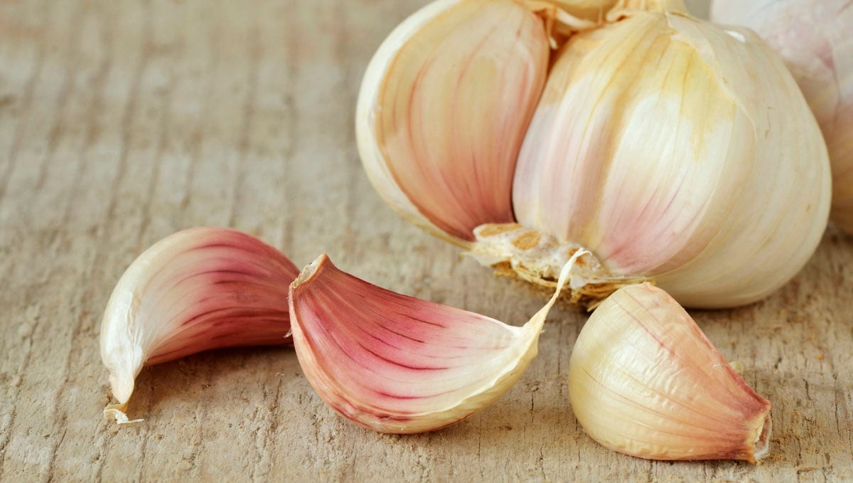 Garlic isn't only loyal in the kitchen but as a grasshopper pesticide as well.