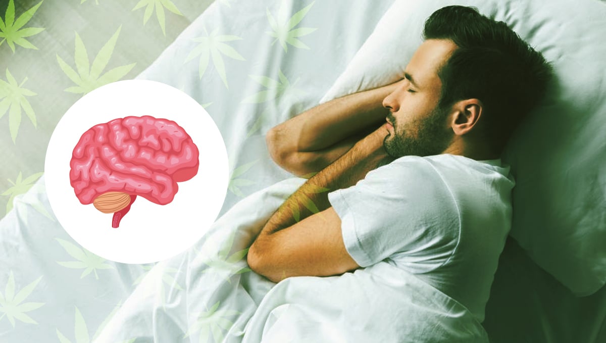 Cannabis edibles can help improve poor sleeping schedule
