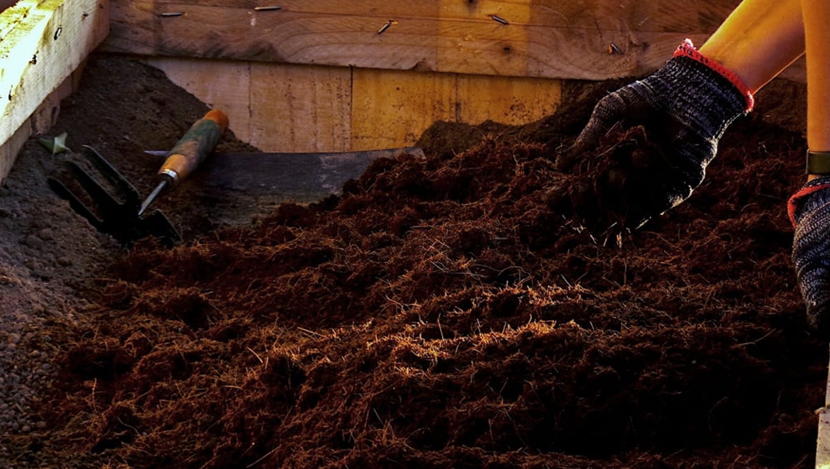 Composting: how to use compost Composting: how to use compost