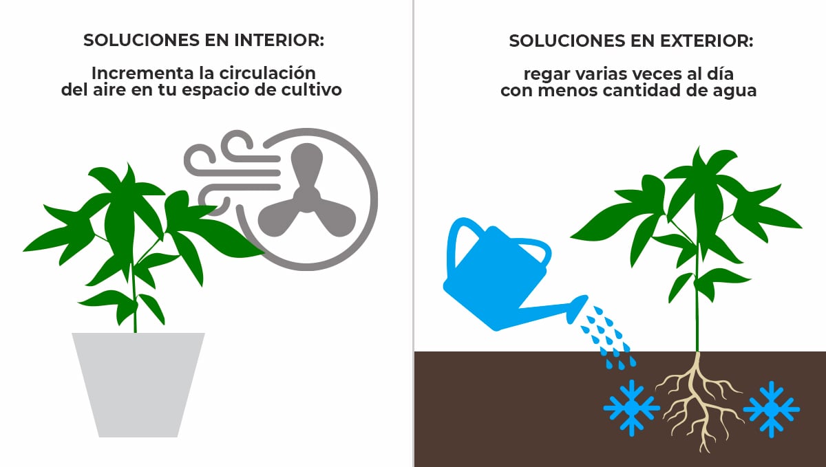 Calor. Solución de estrés por altas temperaturas