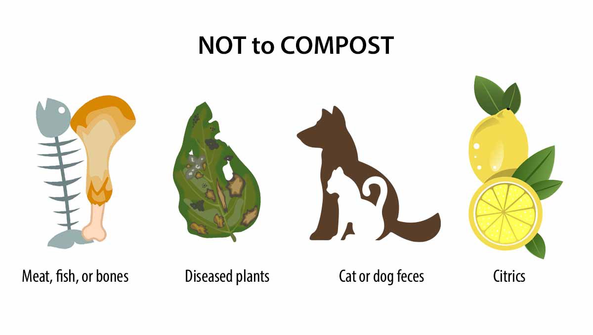 Composting: what not to compost Composting: what not to compost