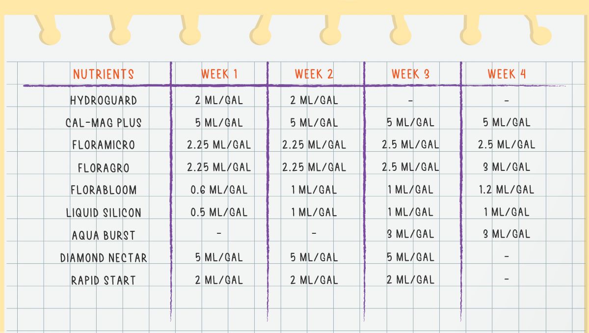 Gorilla Cookies Auto Cannabis Strain Week-by-Week Guide: Feeding chart